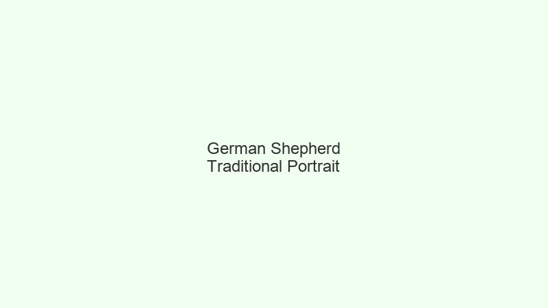 German Shepherd portrait example