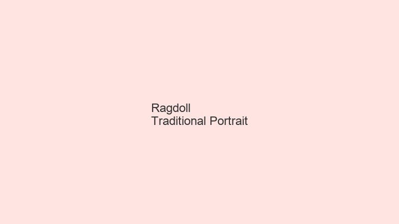 Ragdoll portrait example
